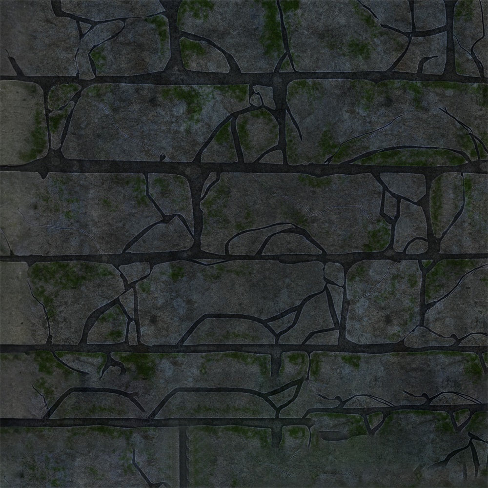 Cracked Brick Stone Trail Floor Backdrop UK RR8-582