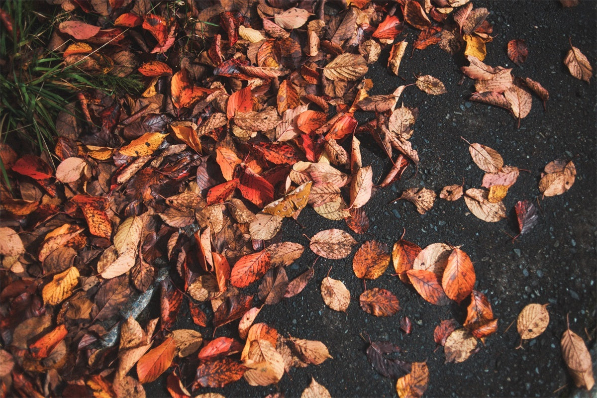 Photography Floor Backdrops Rustic Leaf Floor Backdrop UK TWW57-13
