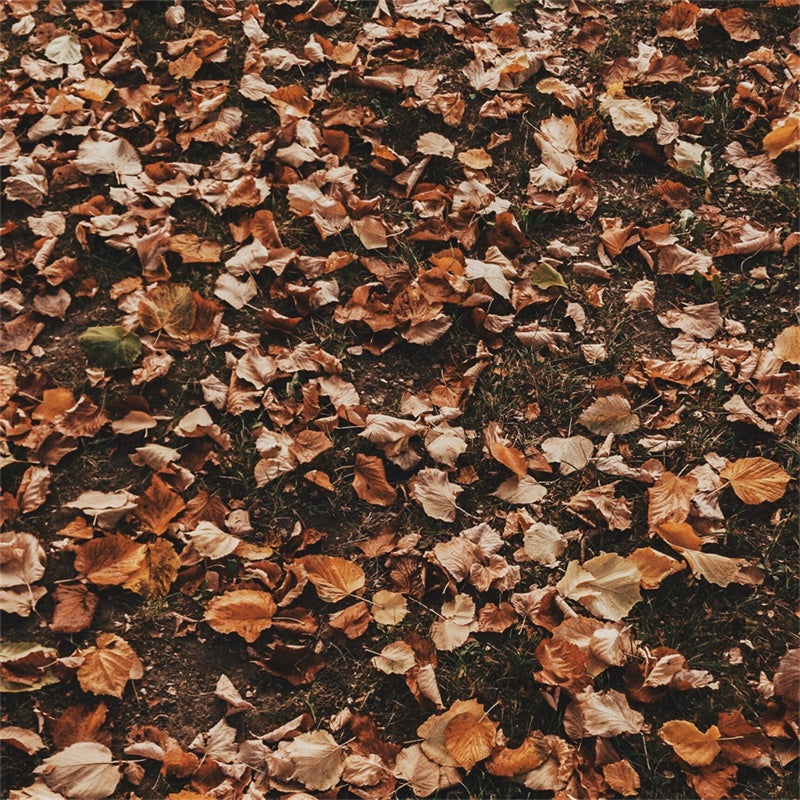 Backdrops And Floors Woodland Dry Leaf Floor Backdrop UK TWW57-19