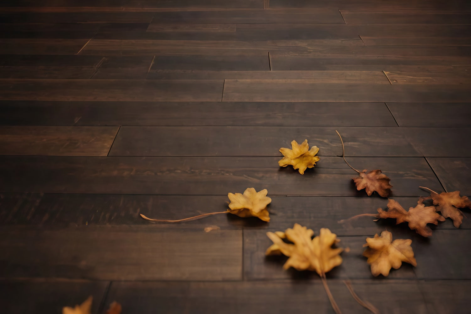 Backdrop Floor Walnut Fallen Leaves Floor Backdrop UK TWW57-20
