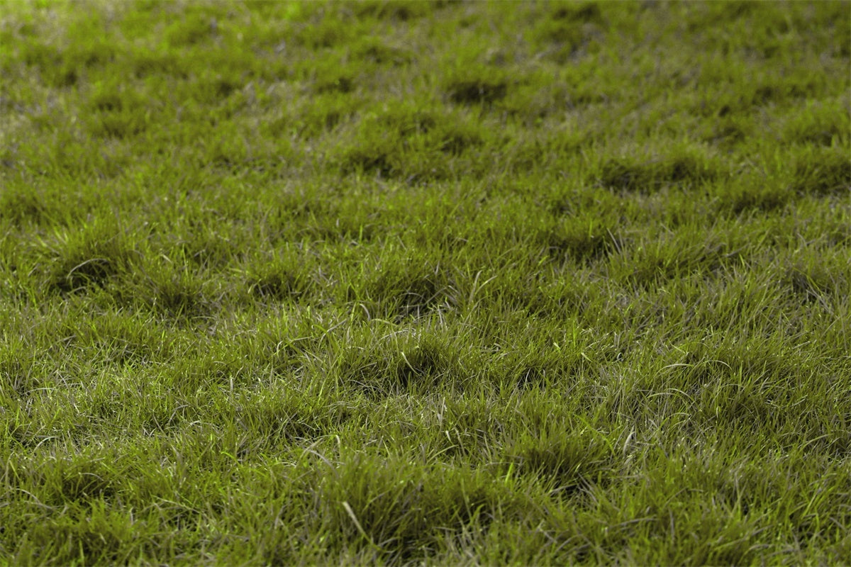 Floor Backdrop Photography Natural Turf Grass Floor Backdrop UK TWW57-27