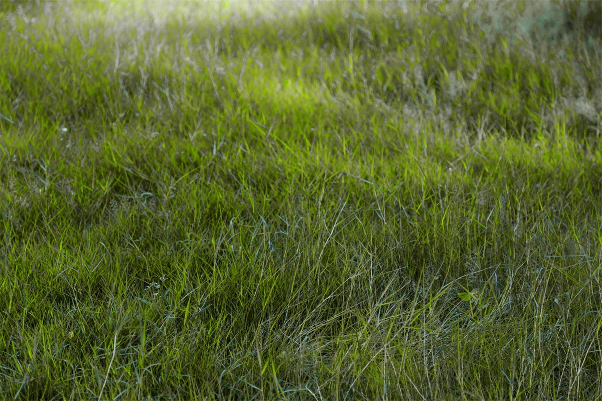 Floor Backdrops Morning Light Field Floor Backdrop UK TWW57-30