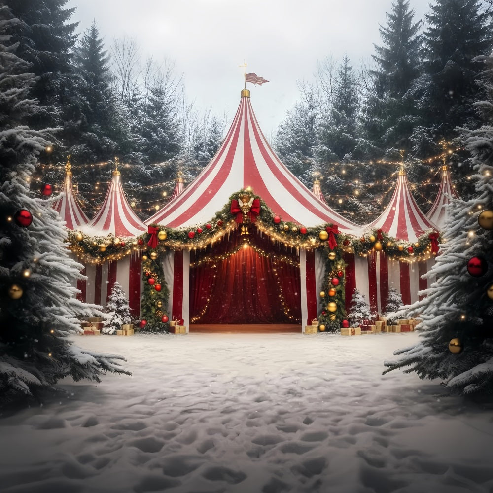 Carnival Tent Backdrop Christmas Garland Festive Tent Photography Circus Backdrop UK TWW59-14