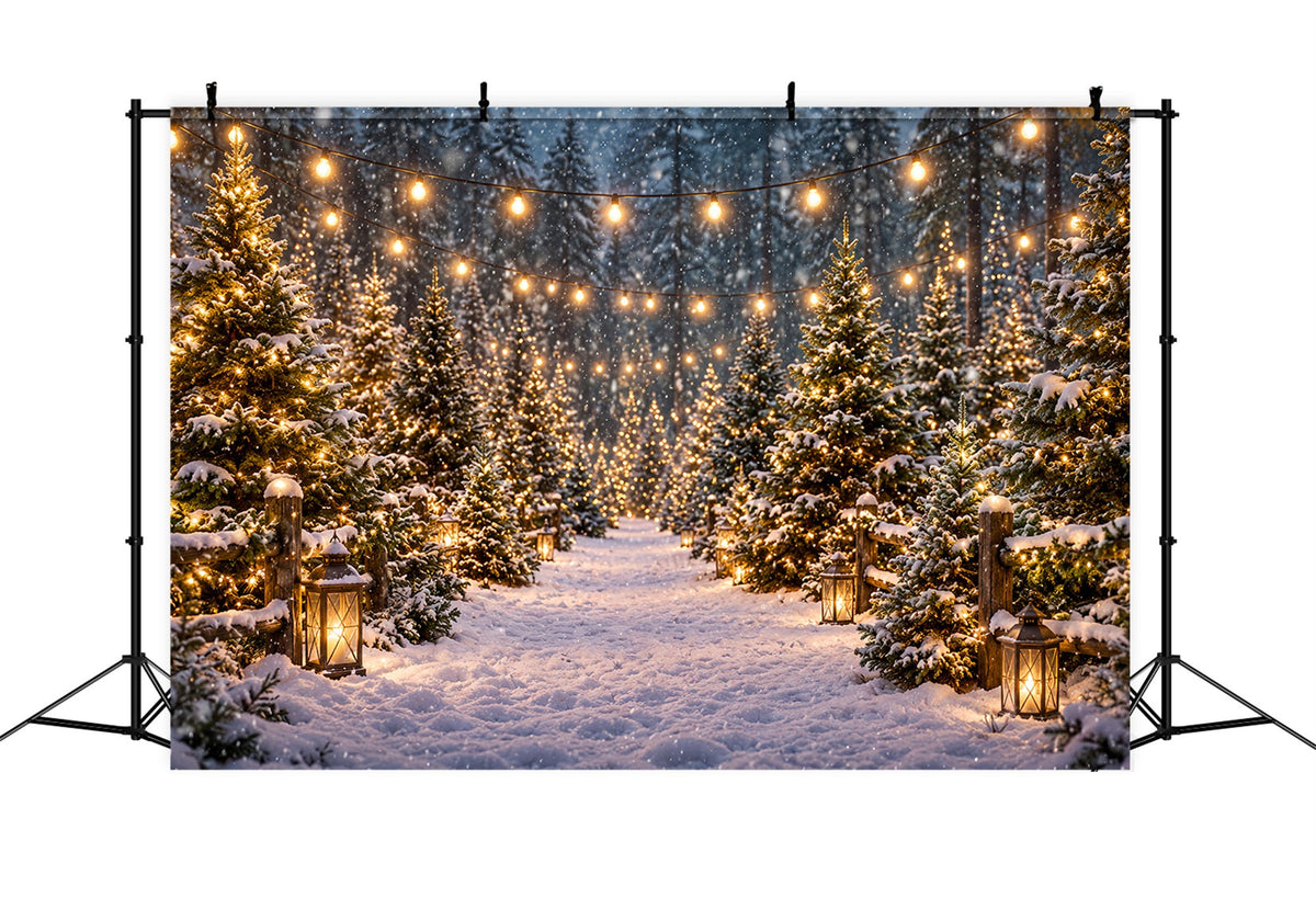 Christmas Tree Farm Backdrop Snowy Lantern Forest Path Christmas Tree Backdrops UK ZTT610-16