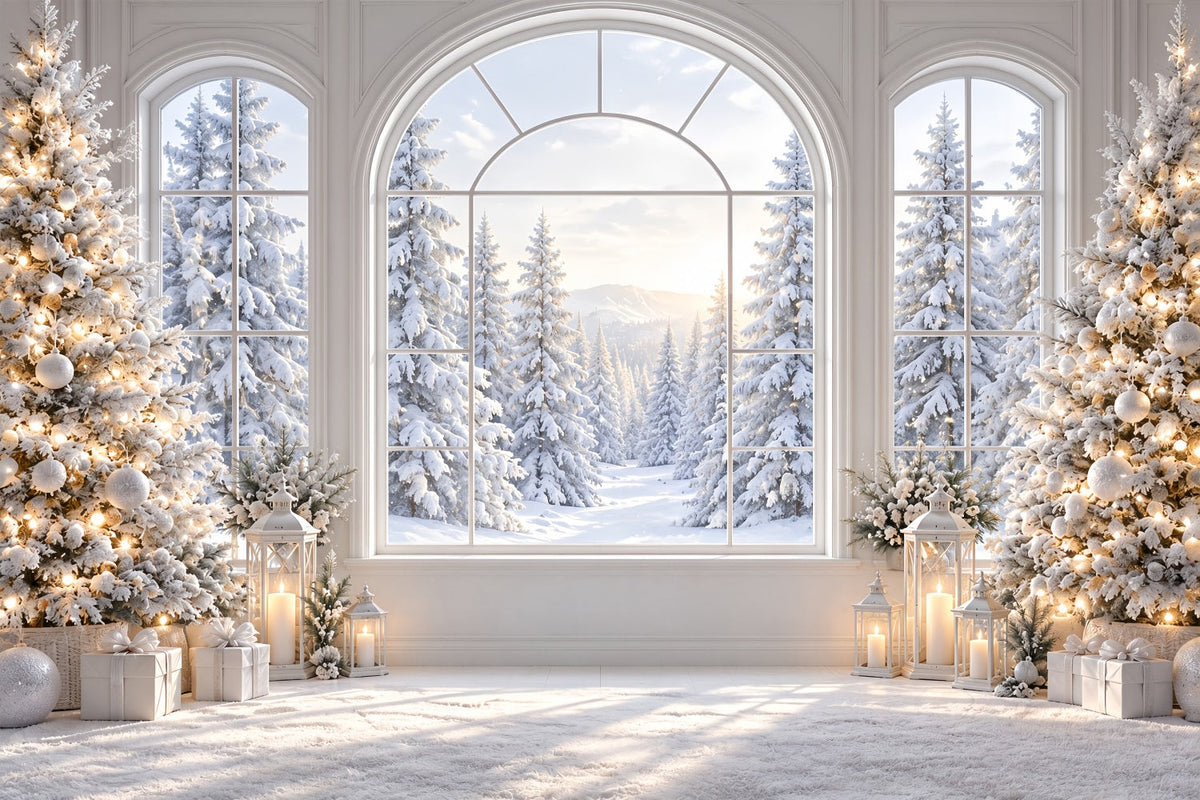 Christmas Window Backdrops Elegant Snowy Window View Christmas Window Backdrop UK ZTT69-76