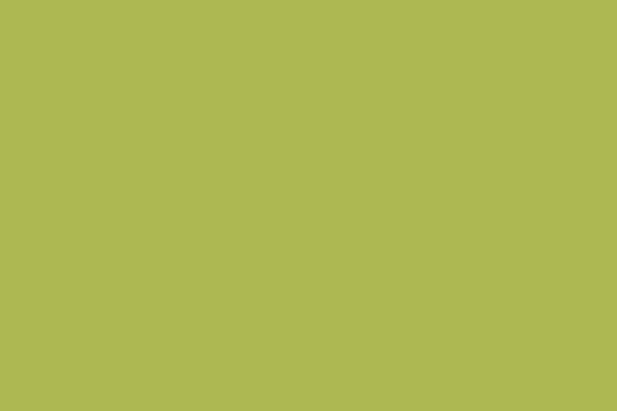 Green Solid Color Backdrop for Photo Studio SC26