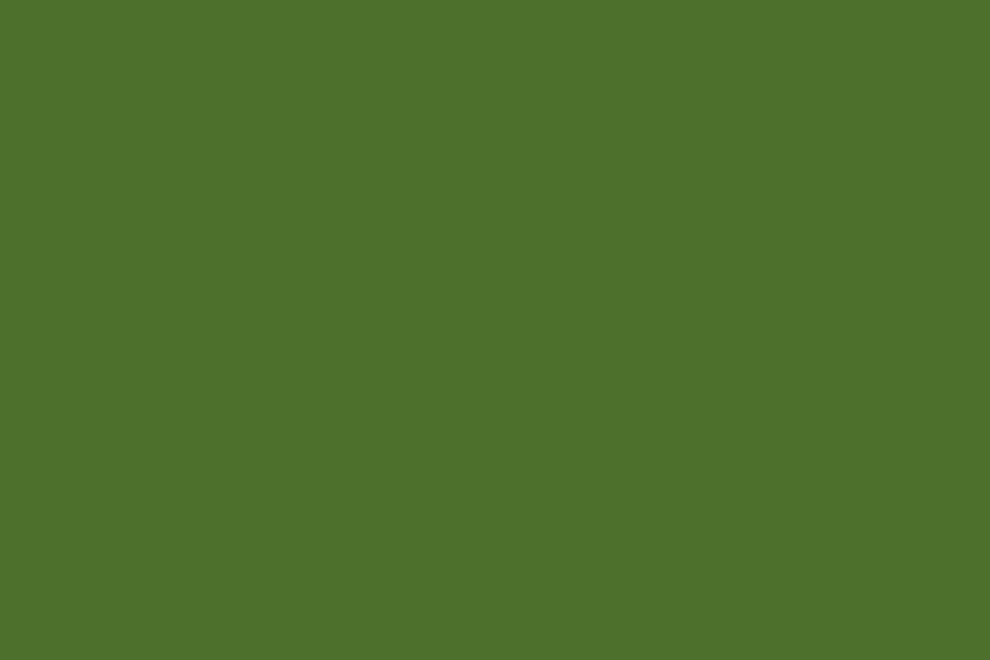 Solid Color Moss Green Backdrop for Photo Studio SC27