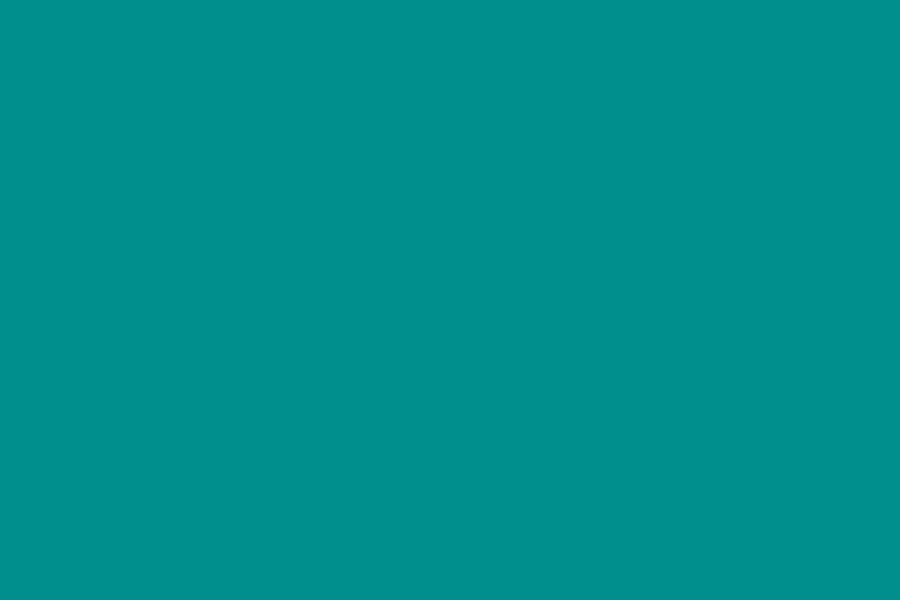 Jungle Green Solid Color Backdrop for Photography SC31