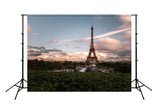 Paris Eiffel Tower City Landscape Backdrop UK for Photography D119