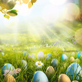 Easter Eggs Green Grass Sunshine Spring backdrop UK for Photography LV-1715