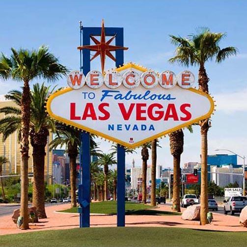 Beautiful Las Vegas Backdrop for Photography