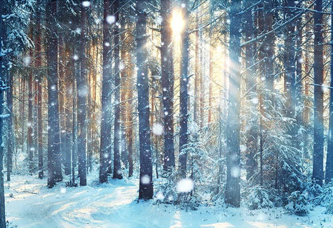 Beautiful Forest Snow Scene Christmas backdrop UK GX-1069