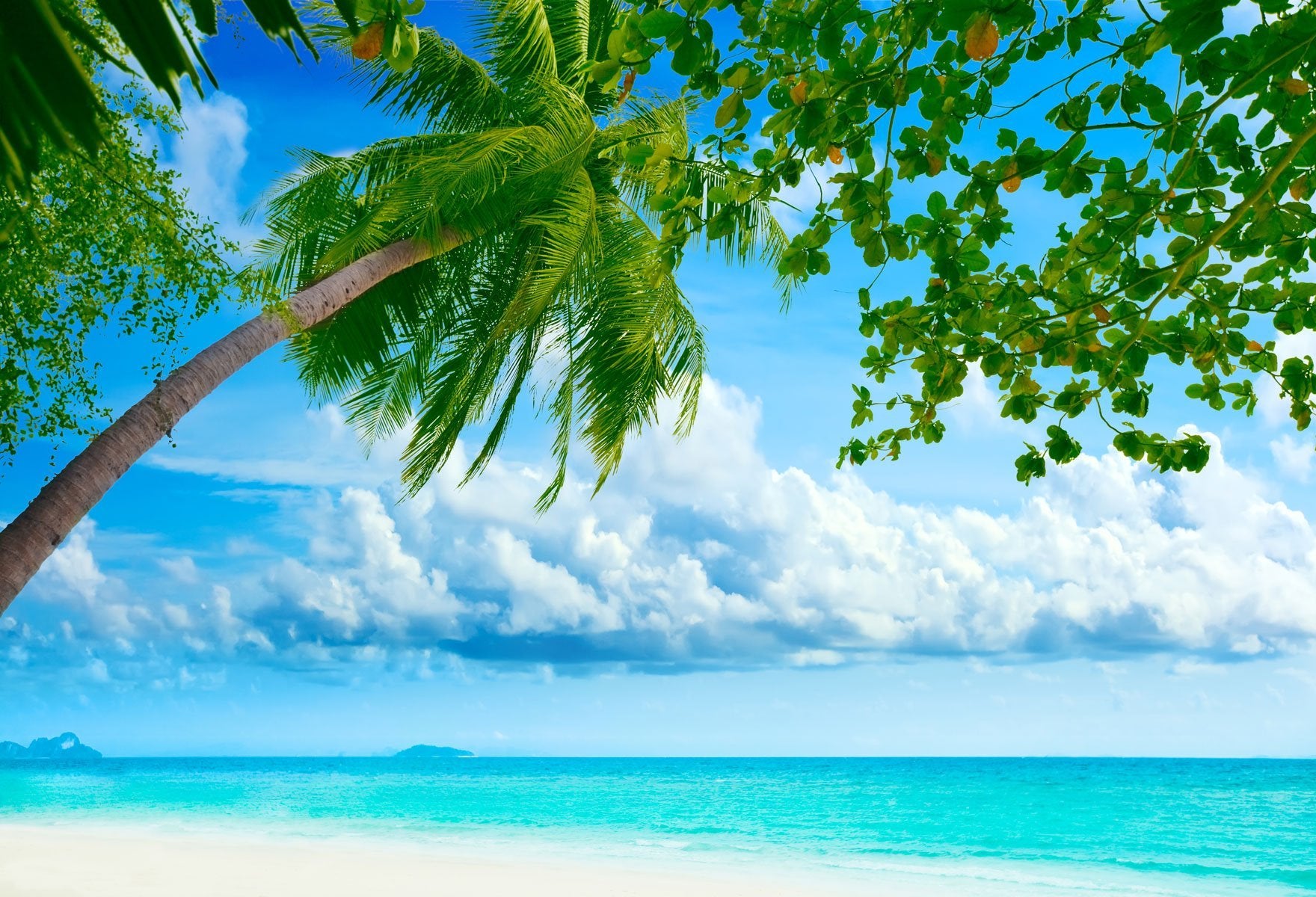 Summer Blue Sea Sky Backdrop UK for Picture HJ03740