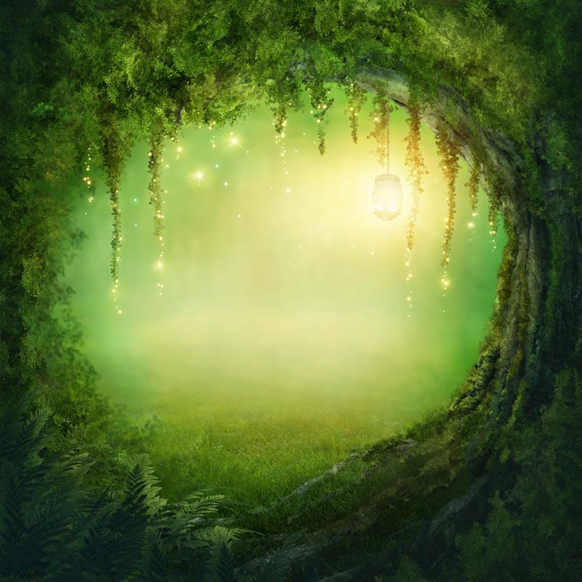Baby Backdrop UK Cartoon Fairytale Backdrop UK Mysterious Cave Background J03529