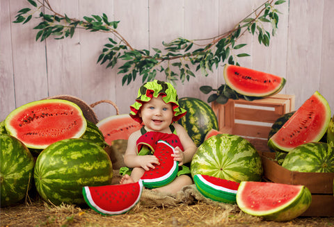Summer Watermelon Wood Photo Booth Backdrop UK M-41