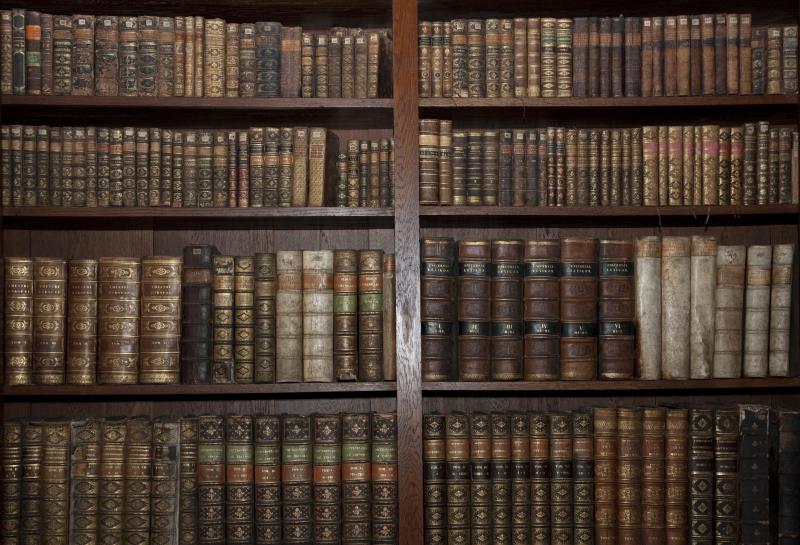 Vintage Bookshelf Wall Background for Baby Photography