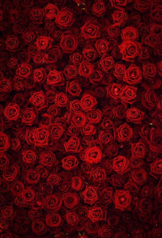 Flowers Background Red Backdrop S-3171