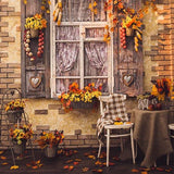 Fall Window Yellow Leaves Autumn Photography backdrop UK S-3201