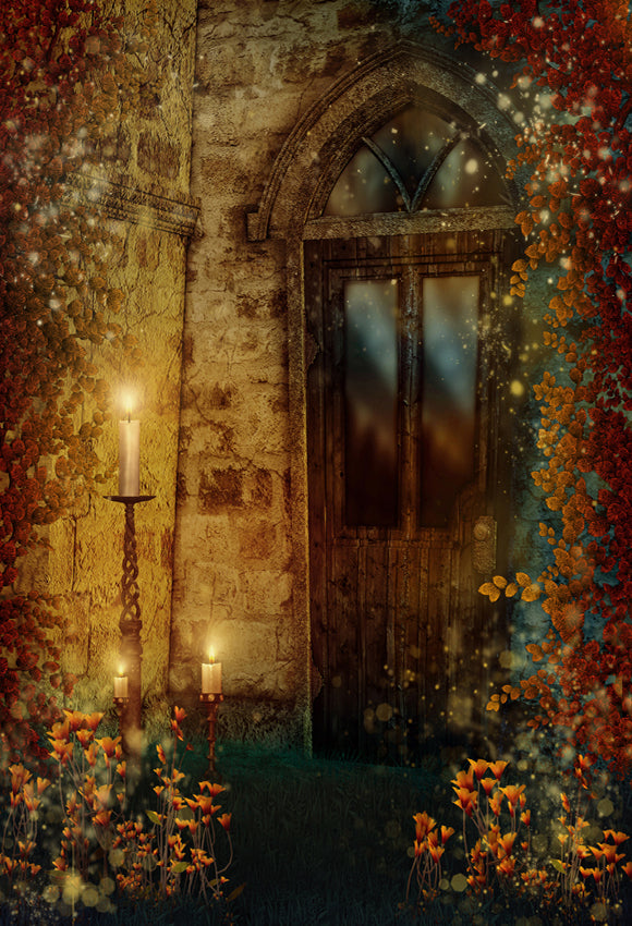 Old Vintage Door With Vines Backdrop for Photography