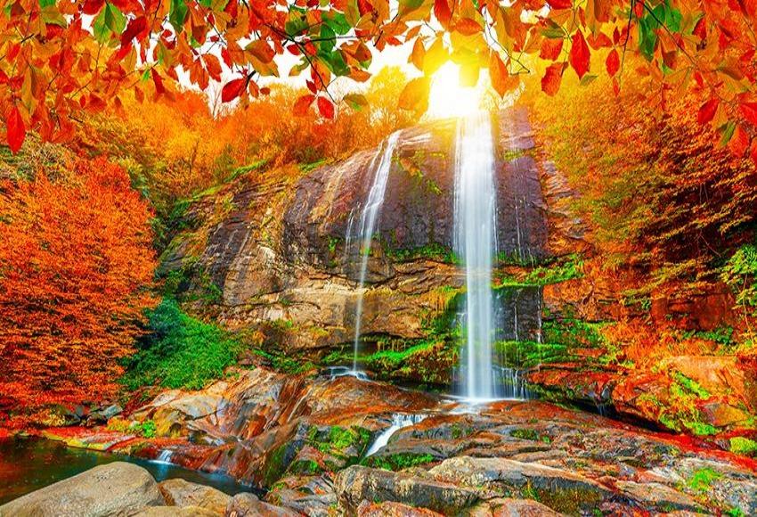 Waterfall Fall  Secnery Background for Photography