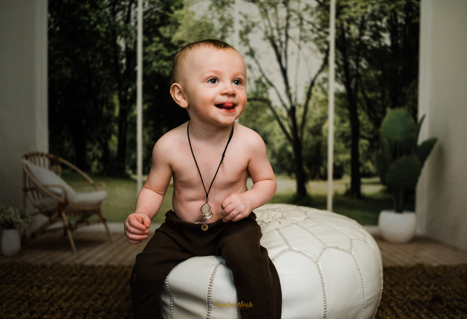 Living Room Interior Chair Plants Wood Floor Backdrop uk for Photo Video Shot SH661