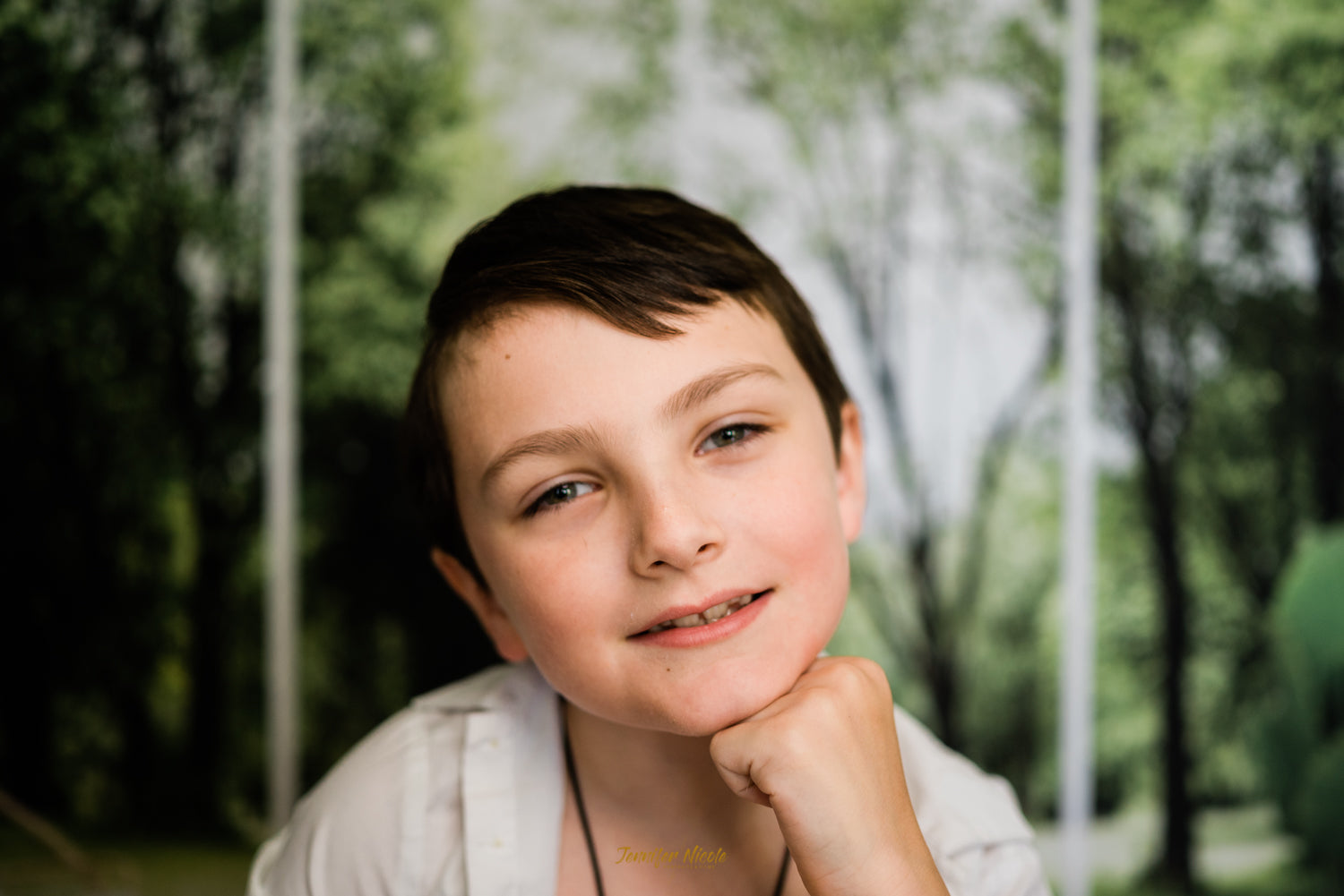 Living Room Interior Chair Plants Wood Floor Backdrop uk for Photo Video Shot SH661