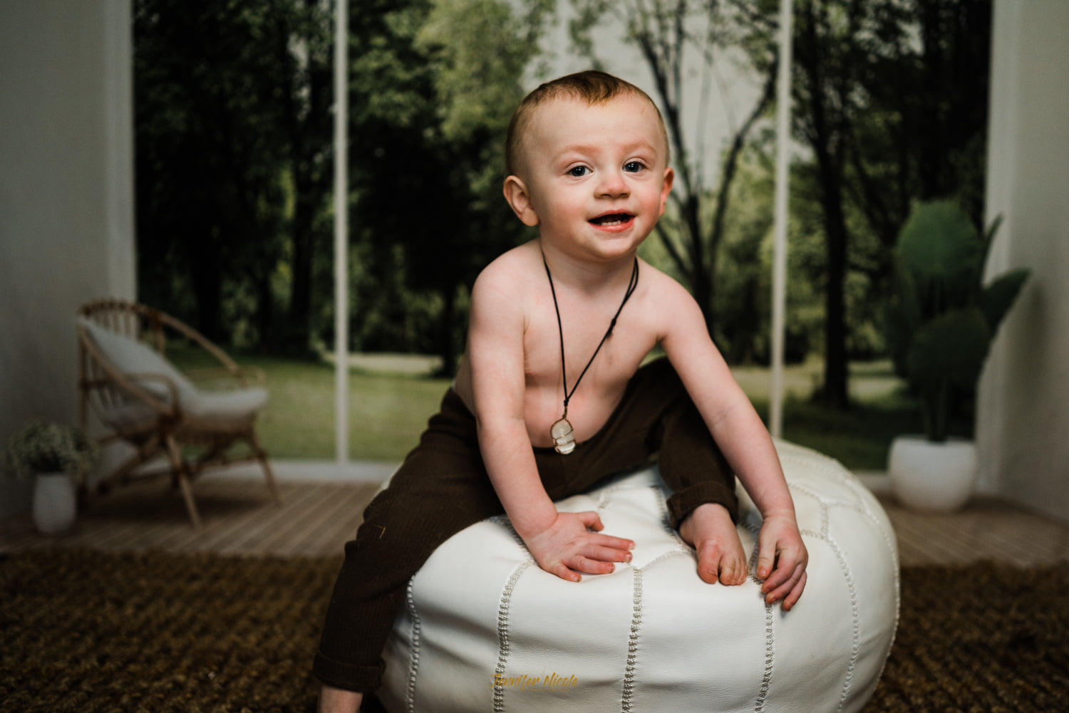 Living Room Interior Chair Plants Wood Floor Backdrop uk for Photo Video Shot SH661