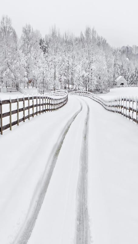 Winter Snow Road Forest backdrop UK for Photo Booth ST-439