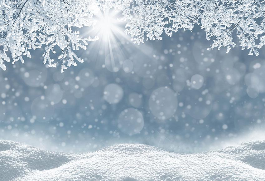 Winter White Snow Snowflake Bokeh Photo Booth Backdrop LV-1023