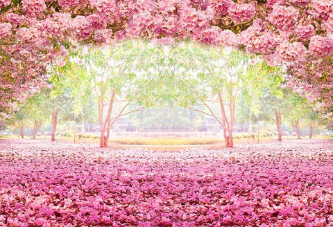 Floral Backdrop Pink Flowers Photography Background LV-455