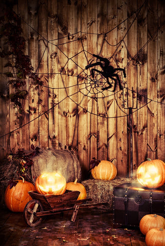 Pumpkin Spiderweb Wood Wall Halloween Backdrop UK for Photography DBD-19081