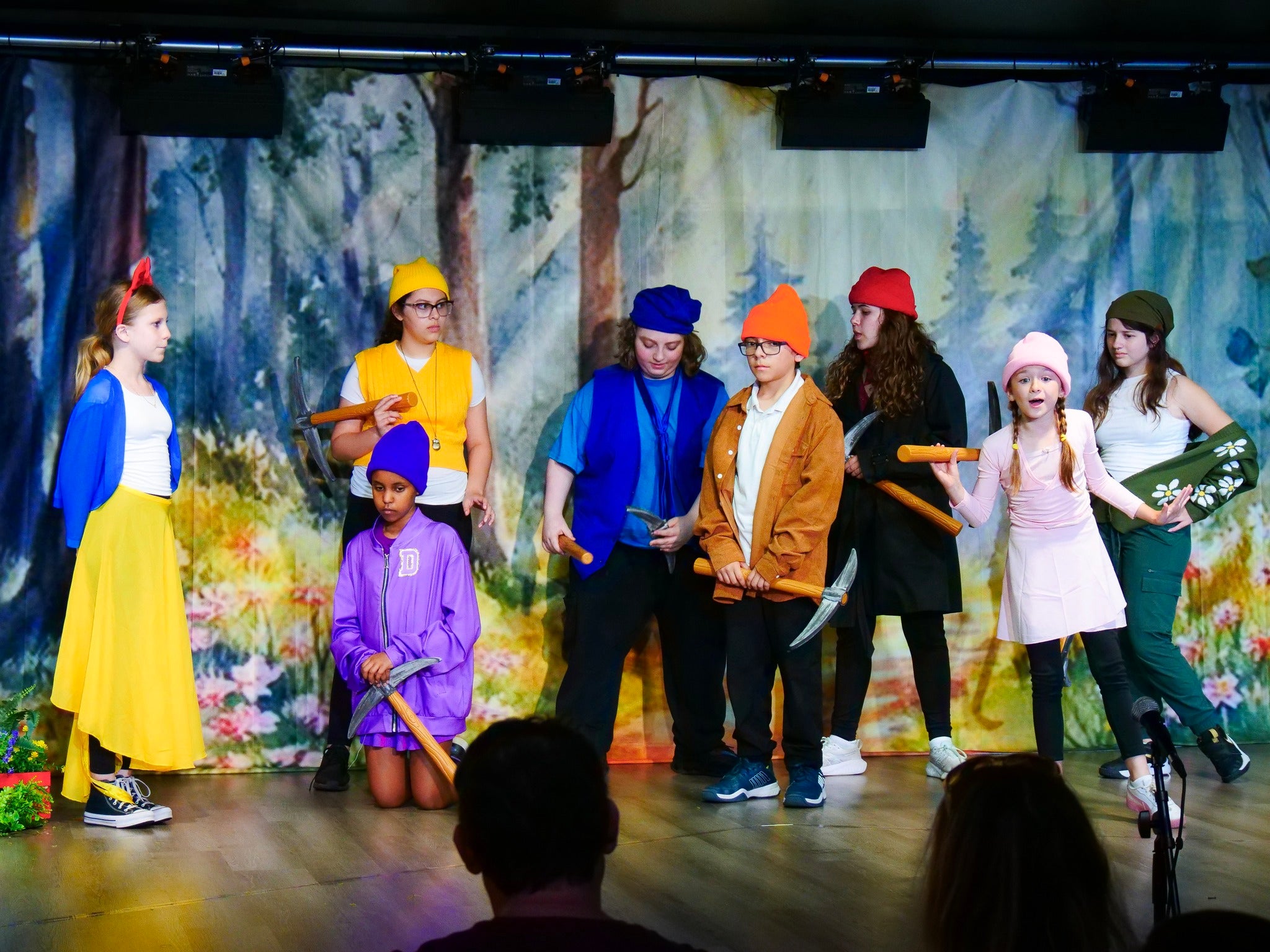 Custom Theater Backdrop UK  Service CT1