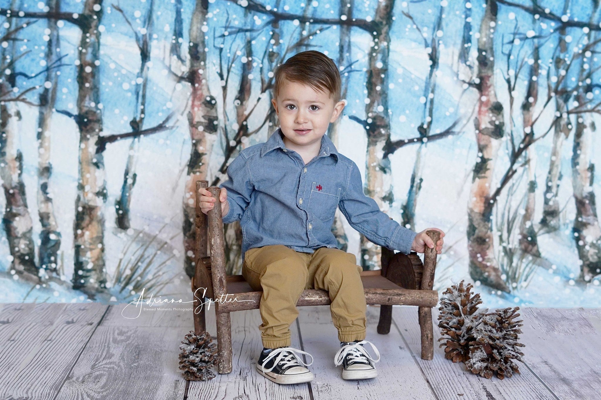 Winter Forest Backdrop Snowy Trees Wonderland Forest Backdrop UK MRR10-35