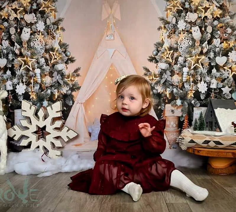 Christmas Tree Tiny Tent Photography Backdrop D984
