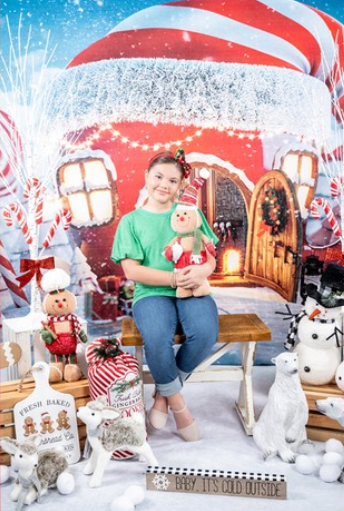 Christmas Hat House Snow Backdrop UK for Photo Shoot LV-982