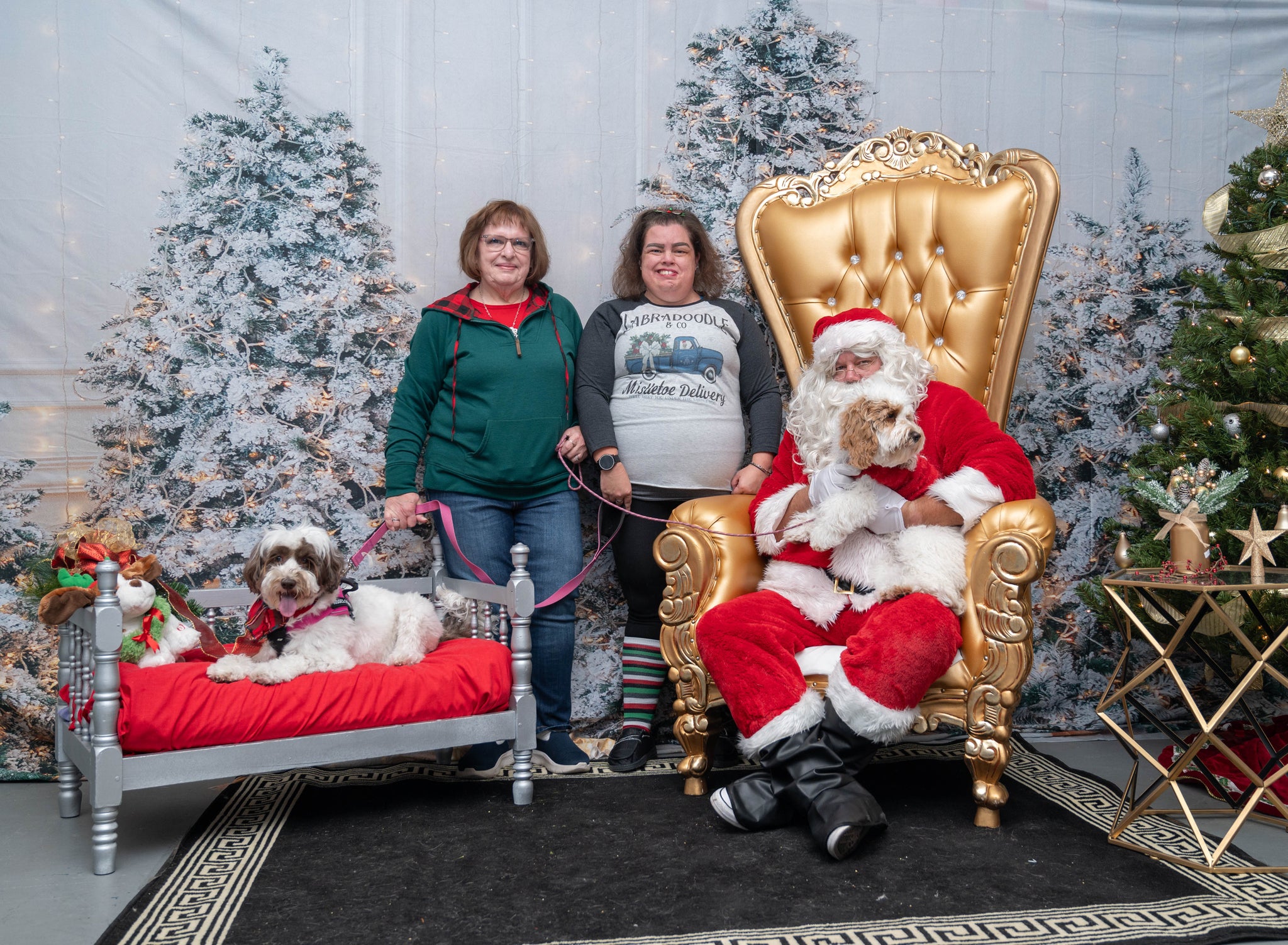 Glowing Christmas Tree Photo Booth Backdrop UK M9-16
