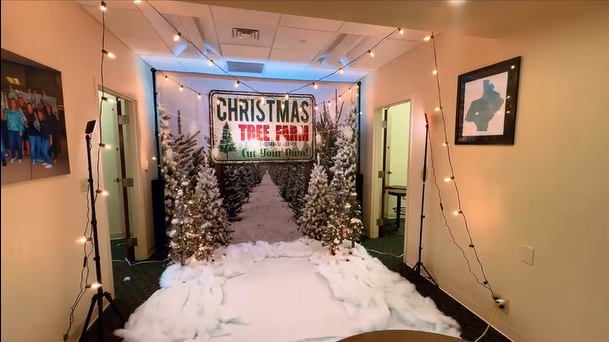 Christmas Backdrop Winter Snow Tree Farm D834