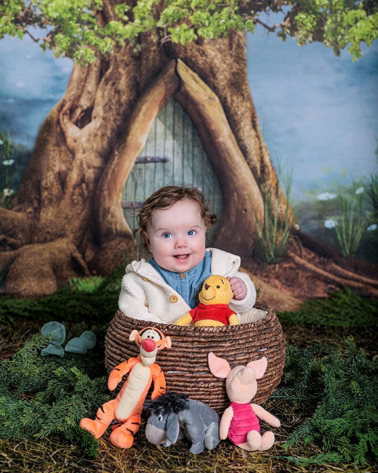 Forest Backdrop Enchanted Tree Trunk Door Newborn Photography Backdrop UK MRR9-72