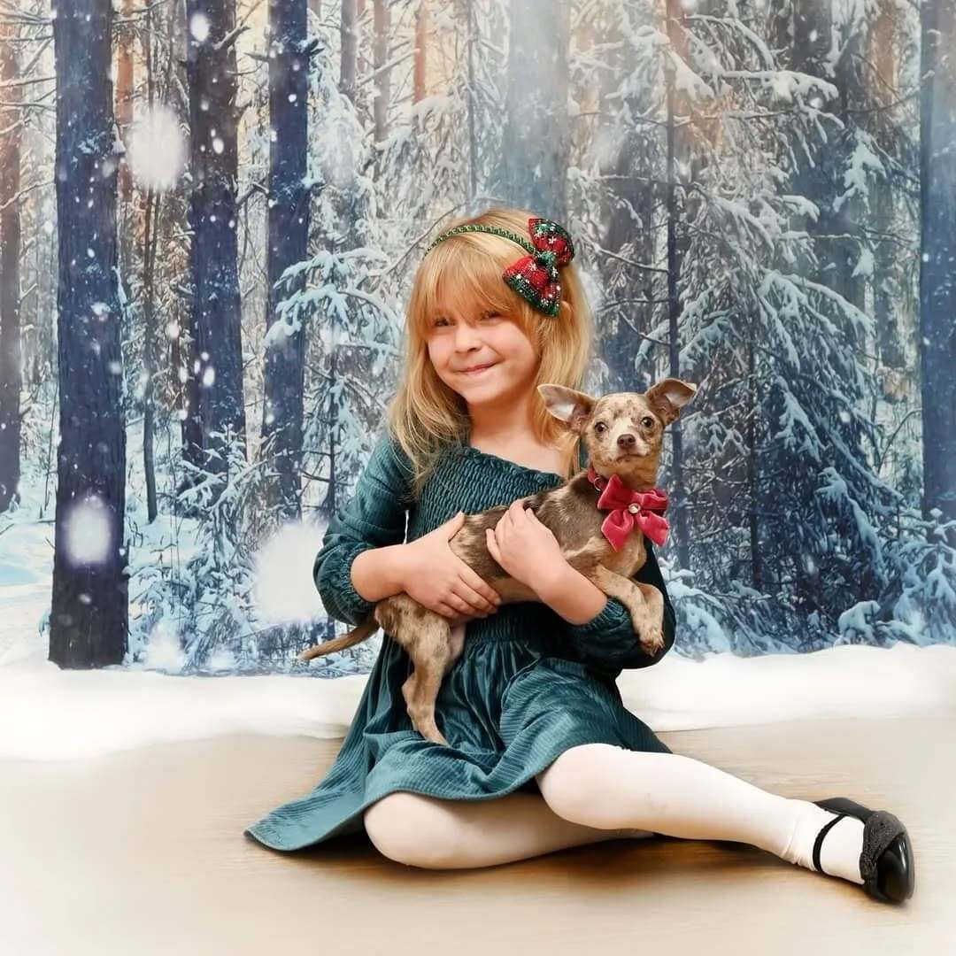 Beautiful Forest Snow Scene Christmas backdrop UK GX-1069