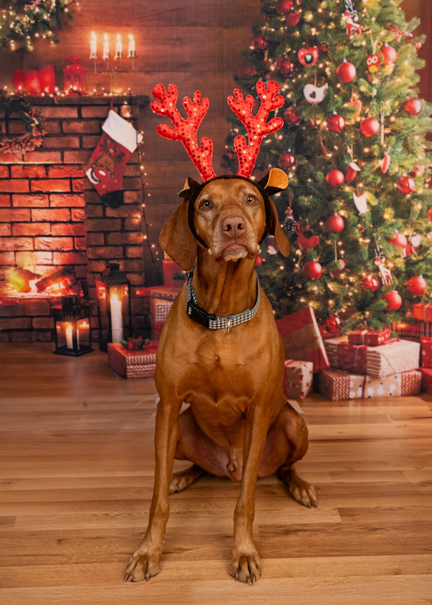 Christmas Glowing Tree Fireplace Gifts Backdrop UK M9-81