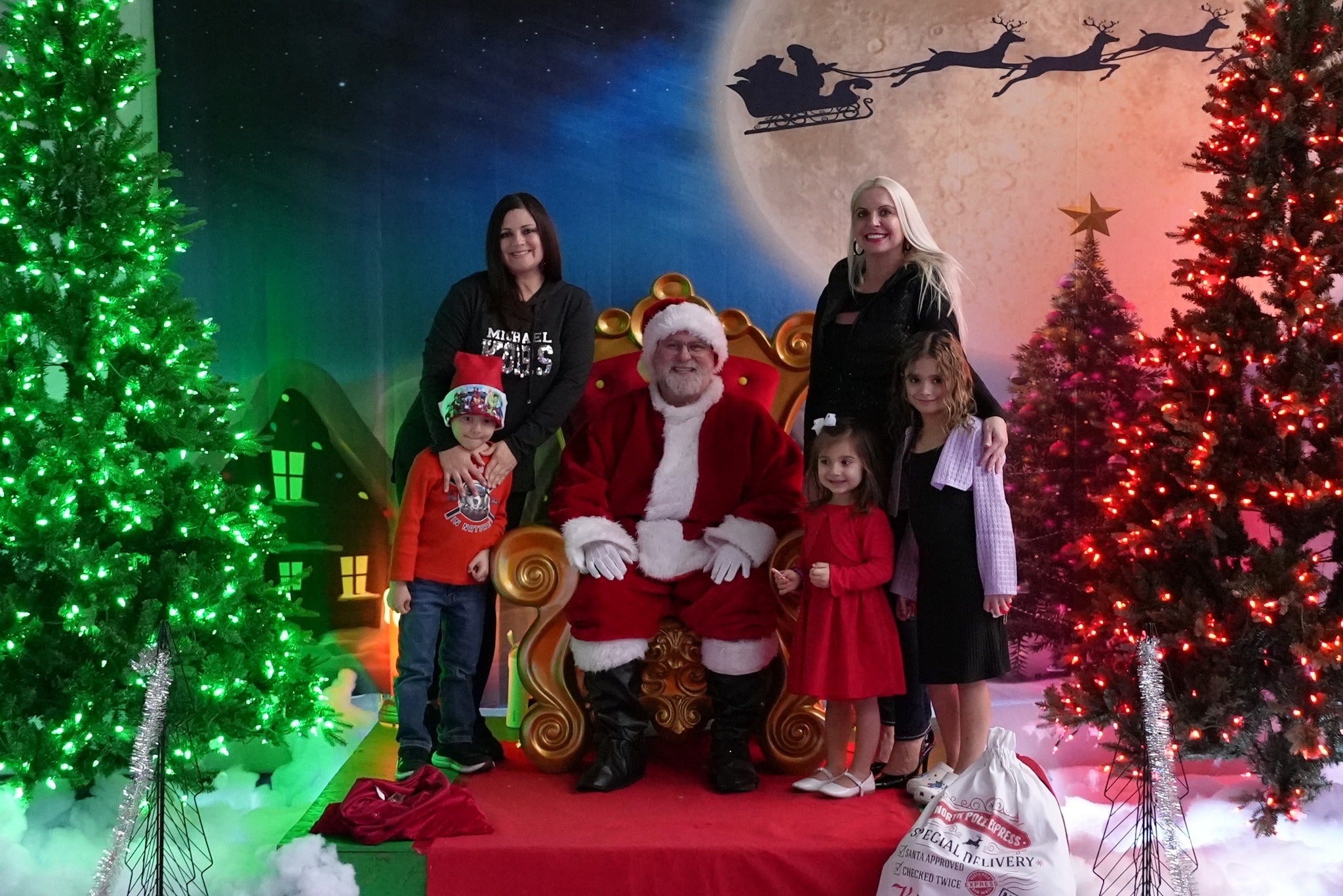 Snowy Tiny Houses Elk Santa Xmas Backdrop D979