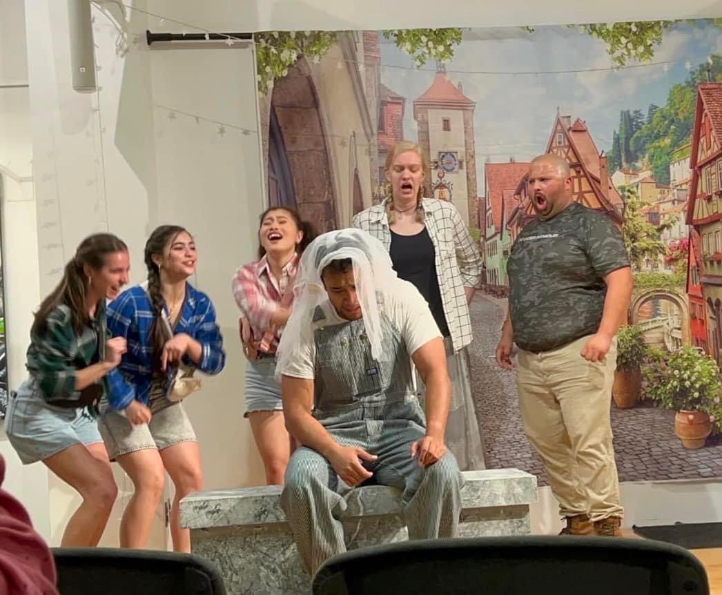 Beautiful Town Spring Flower Backdorp for Photography G-601