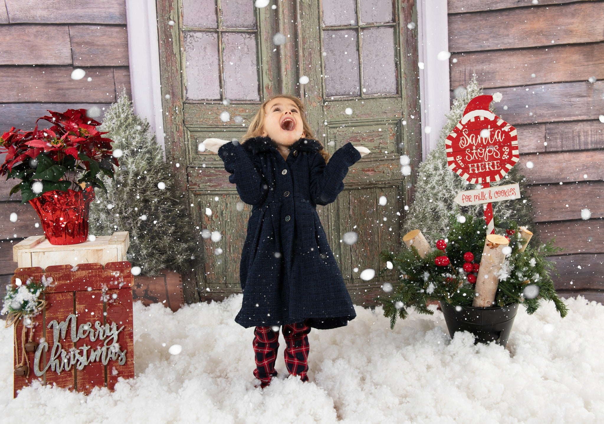 Winter Wonderland Courtyard Marble Arch Backdrop UK BRP9-235