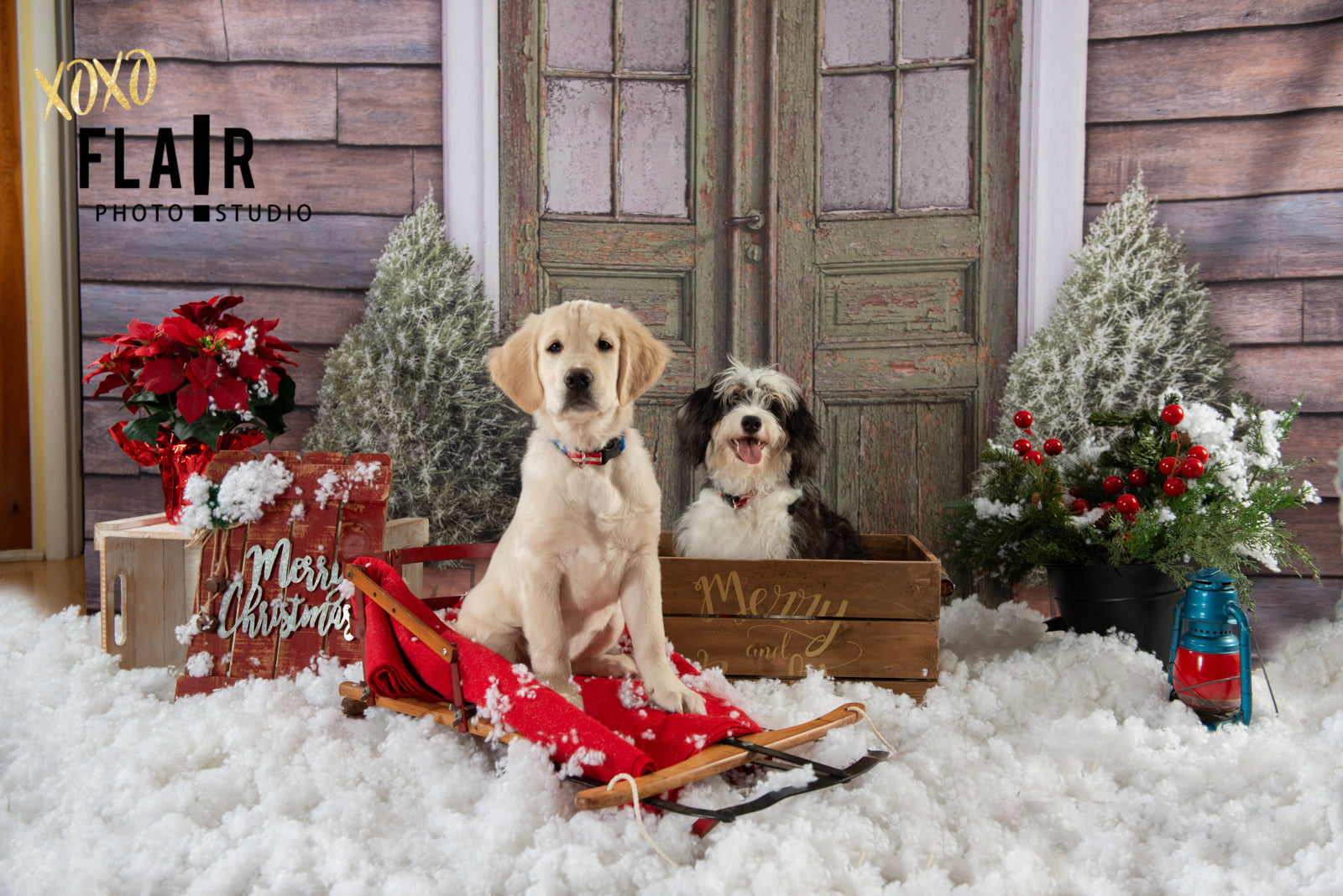 Winter Wonderland Courtyard Marble Arch Backdrop UK BRP9-235