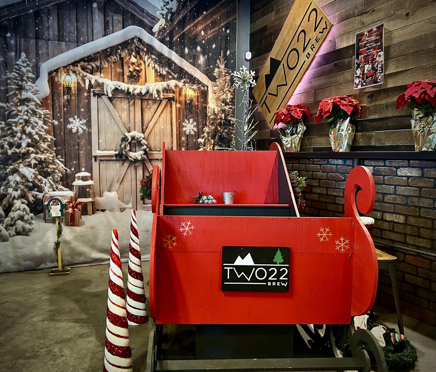Christmas Rustic Wooden Door Snow Backdrop UK M10-59