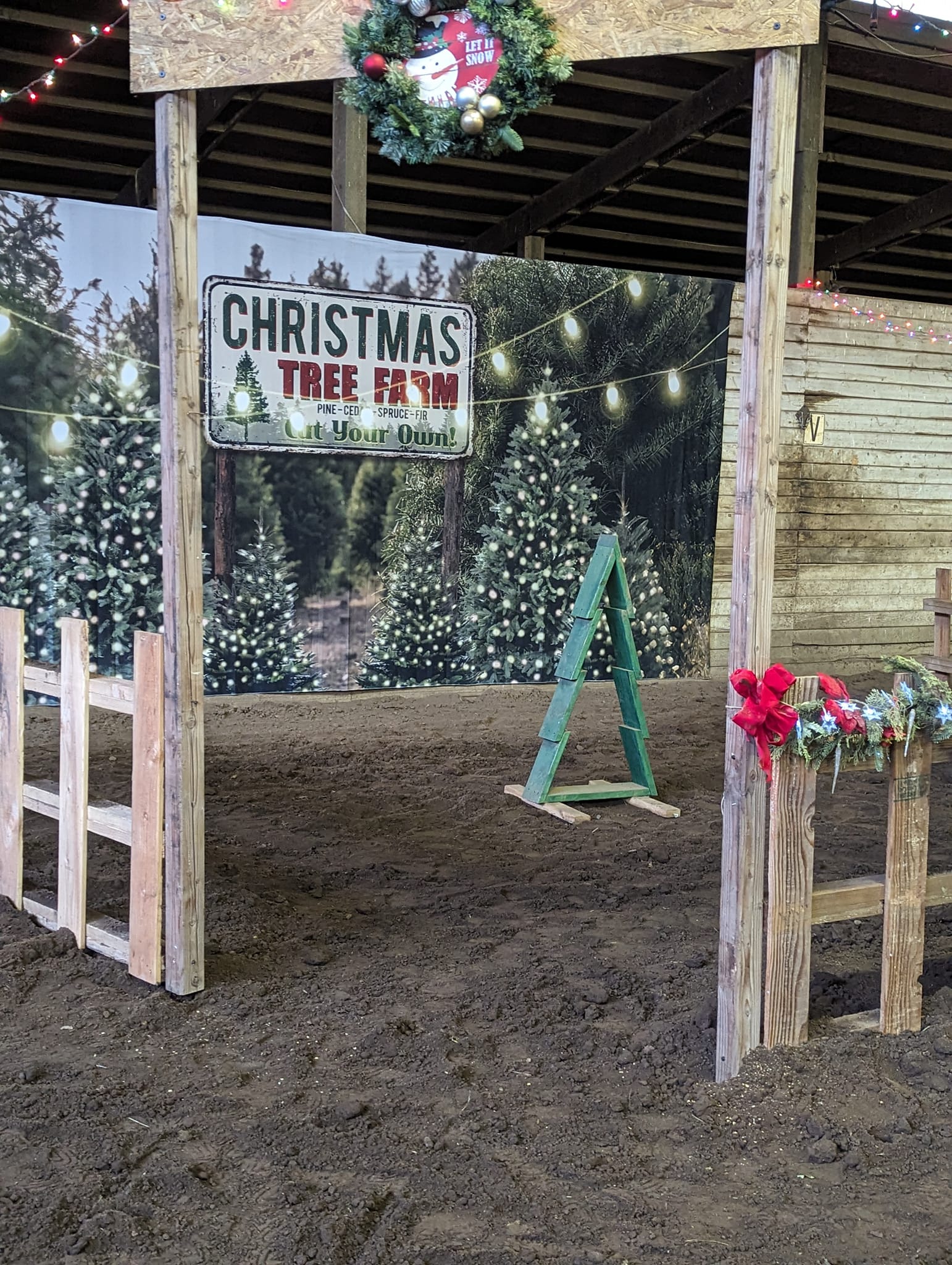 Christmas Tree Farm String Lights Backdrop for Photography D830