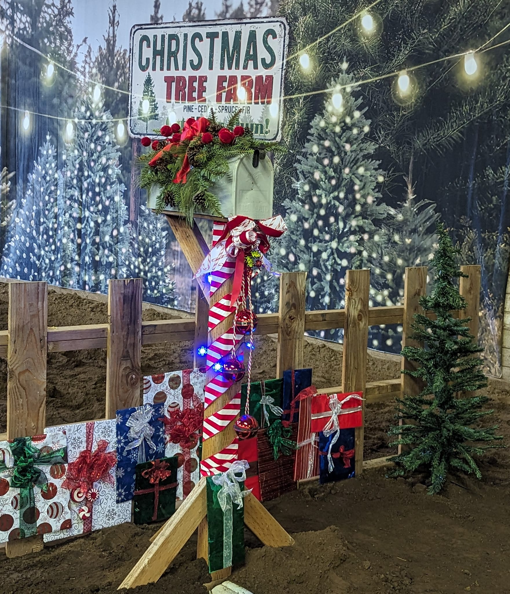 Christmas Tree Farm String Lights Backdrop for Photography D830