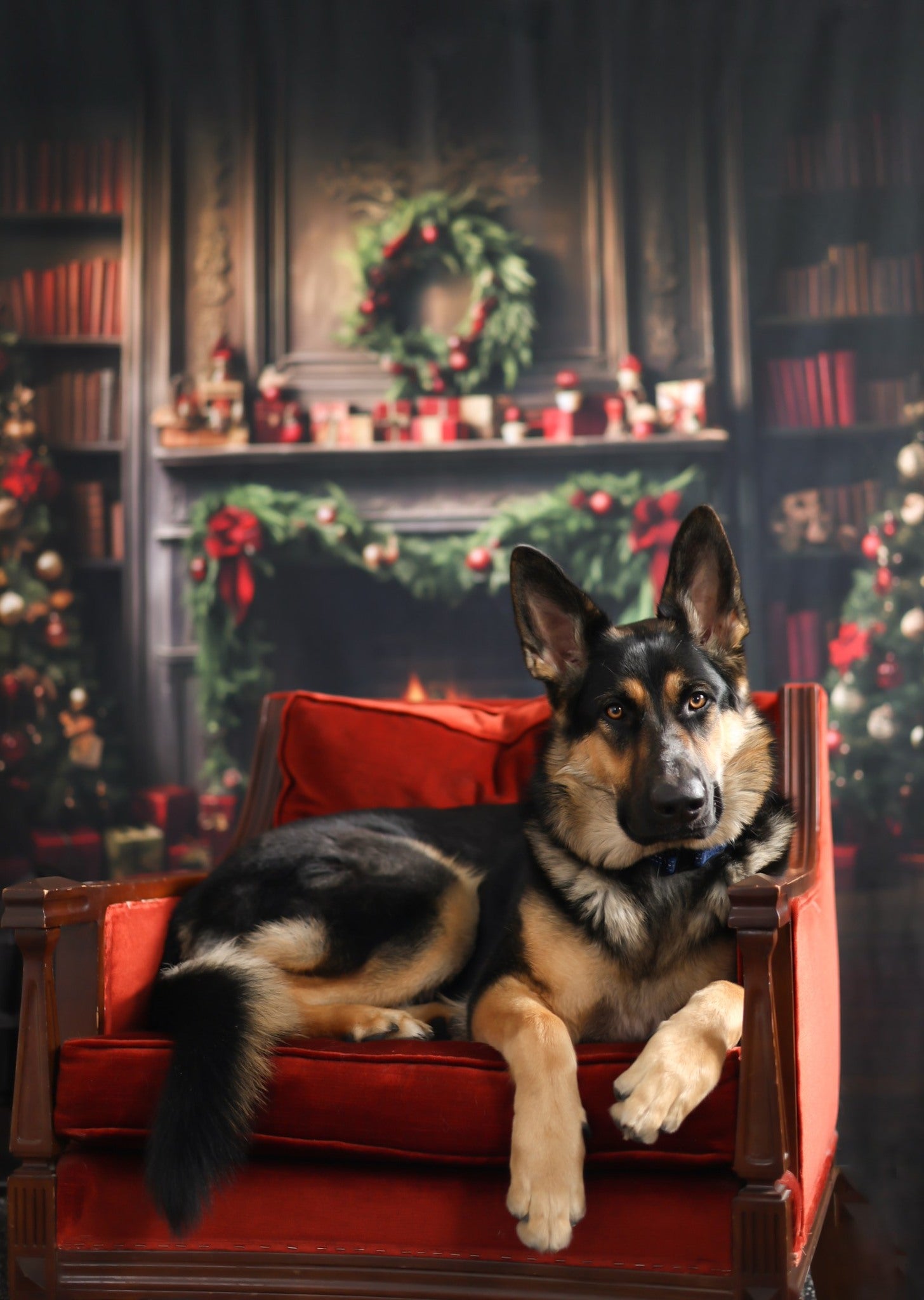 Christmas Tree Living Room Fireplace Backdrop UK RR7-820