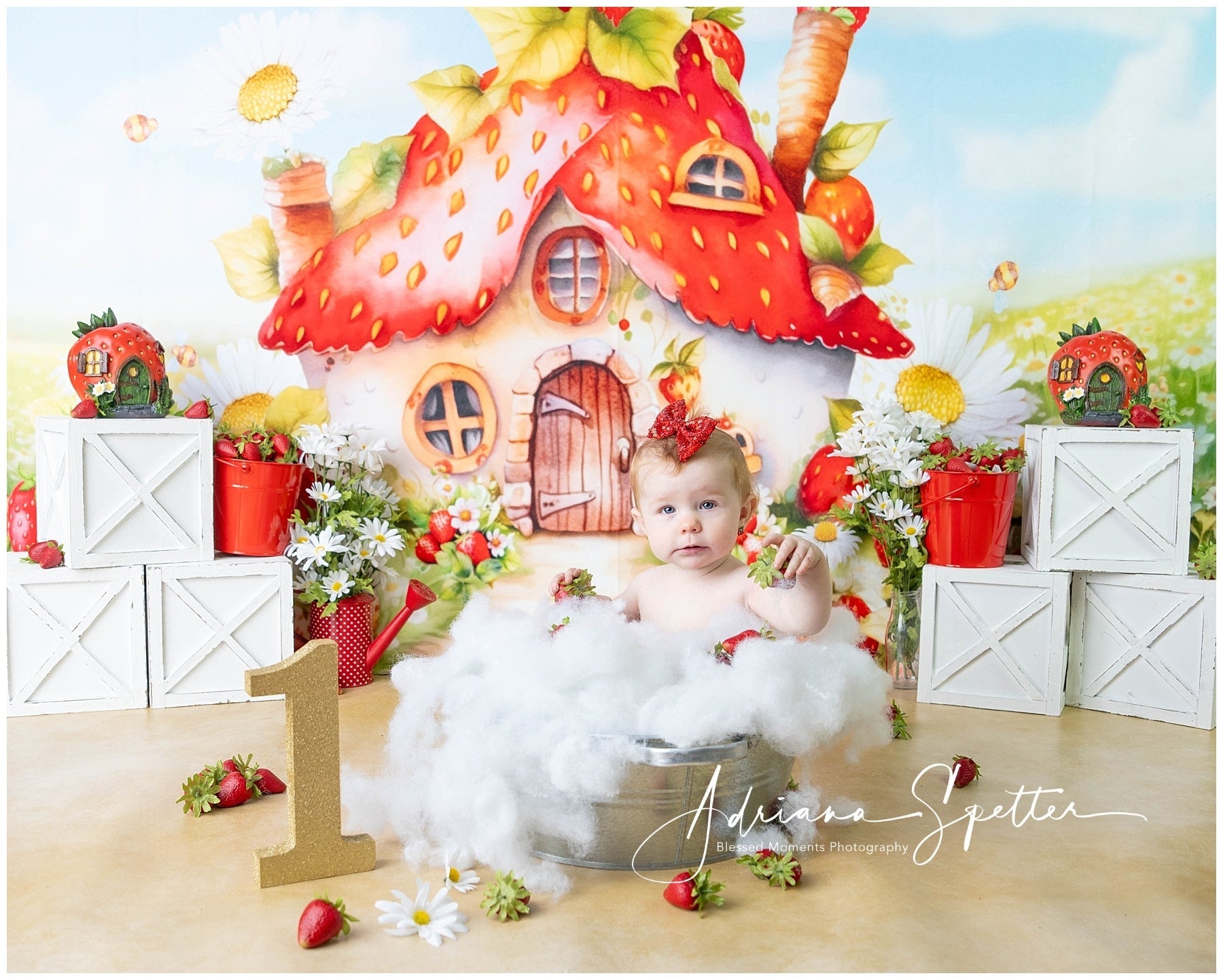 Children Backdrops Strawberry House Flowers Newborn Backdrop UK MRR10-28