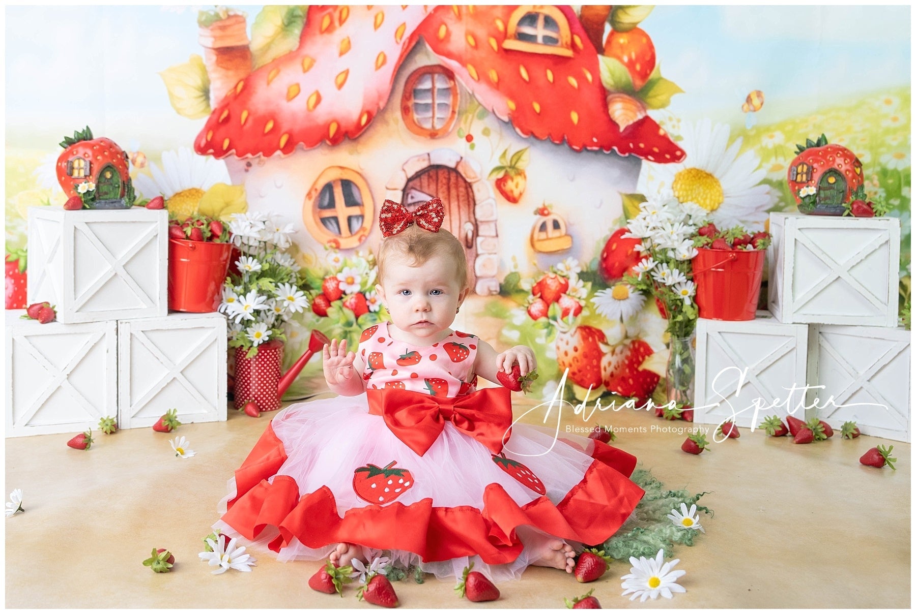 Children Backdrops Strawberry House Flowers Newborn Backdrop UK MRR10-28